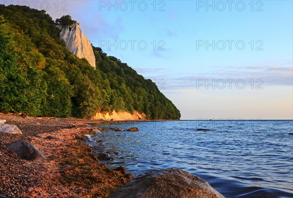 Koenigsstuhl chalk cliff