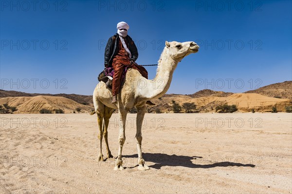 Tuareg riding on his arabian camel