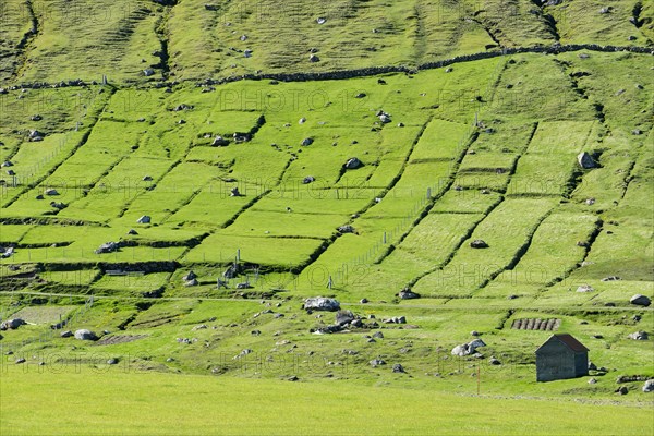 Fields and rocks