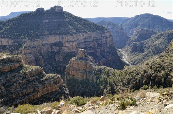 Salt River Canyon from Highway 60