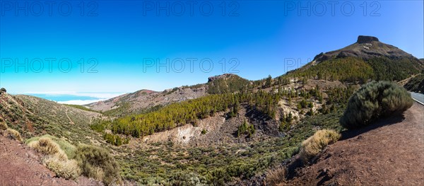 Landscape in the Teide National Park