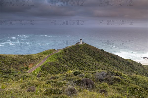 Cape Reinga in the morning