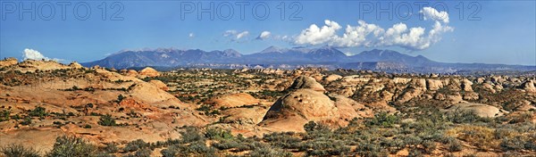 Overlooking the Petrified Dunes towards the La Sal Mountains in the distance