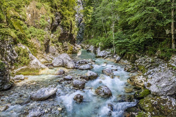 Tolmin Gorge