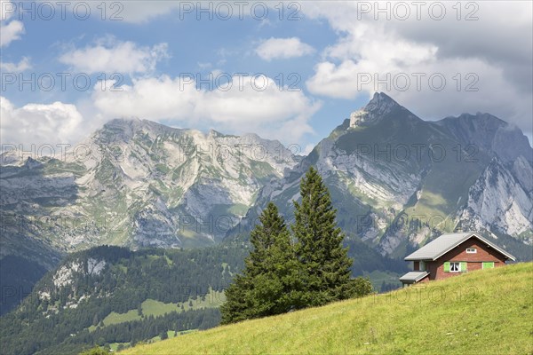 View from Klangweg or Sound Trail on Toggenburg Mountain towards the Alpstein Mountains with Saentis Mountain