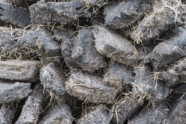 Stack of extracted peat from the Scottish Highland moors