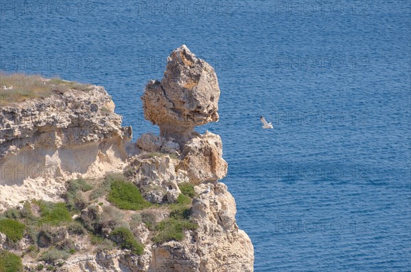 Rock formation at the coast