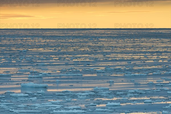 Ice floes