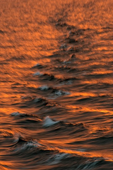 Bow waves in the evening light