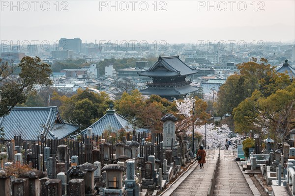 City view with temple and cemetery of the cherry blossom