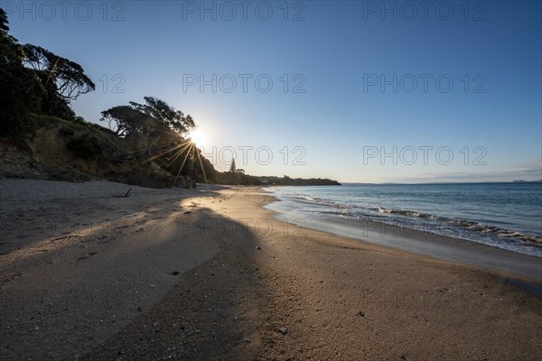 Sunbeams shine through trees on the sandy beach