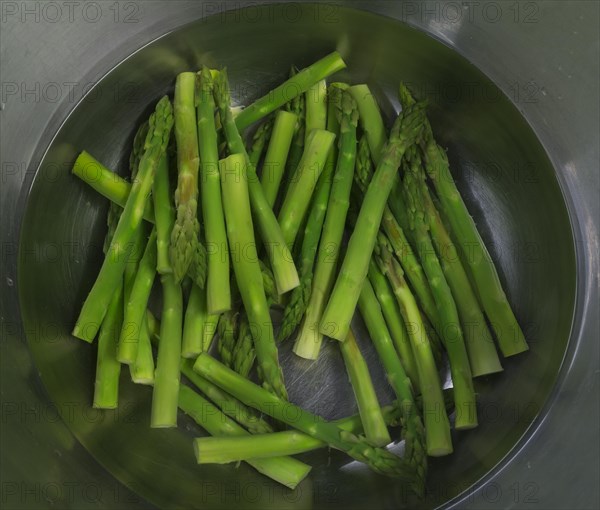 Fresh green Garden asparagus (Asparagus officinalis) in an aluminium bowl
