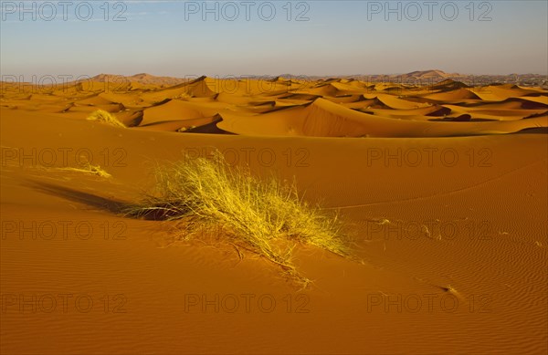 Sand dunes