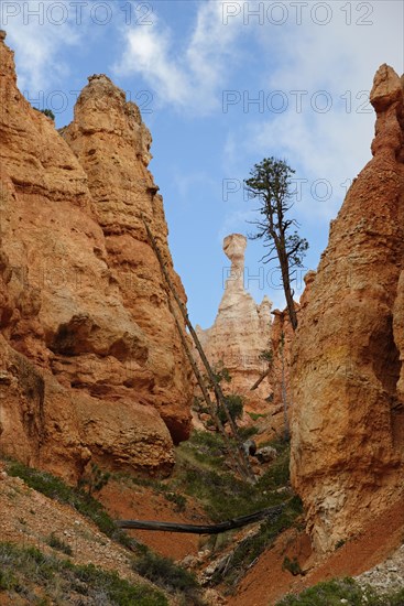 View towards the sandstone pillar Thor's Hammer