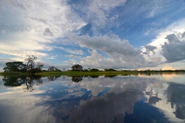 Evening at a widened part of the Amazon or Rio Solimoes