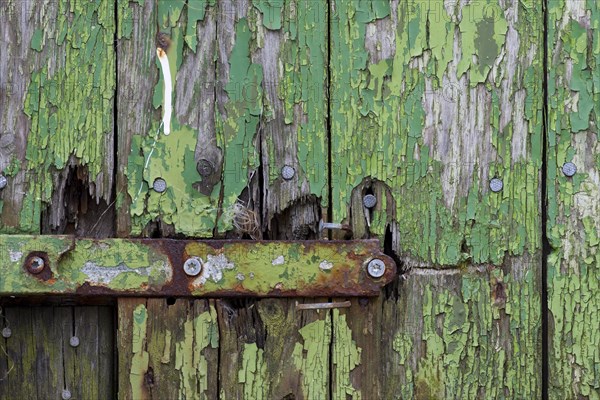 Peeling green paint on wooden boards and a hinge