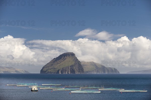 Fish farm