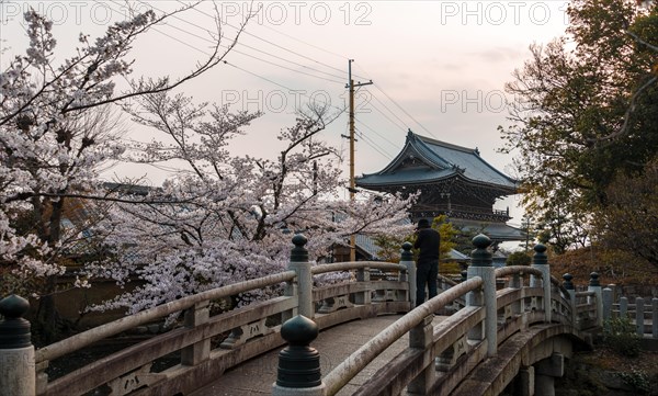 Japanese temple