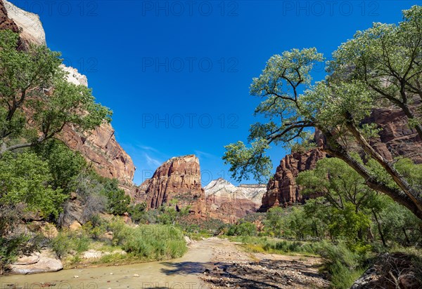 View of Angels Landing