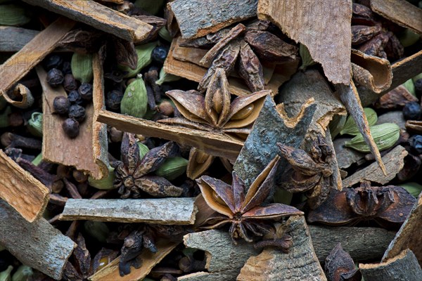 Various spices