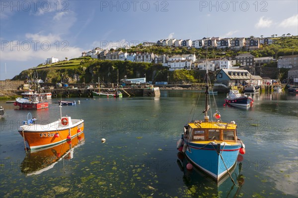 Harbour with fishing boats