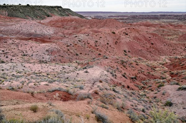 Painted Desert