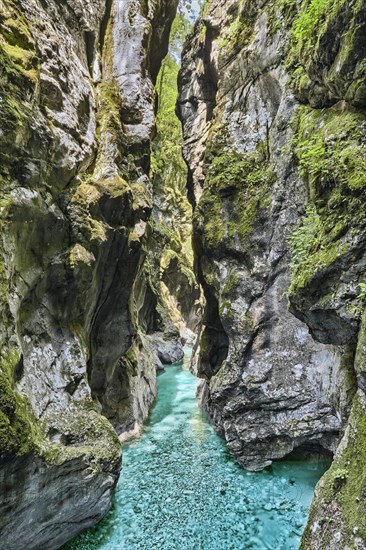 Tolmin Gorge