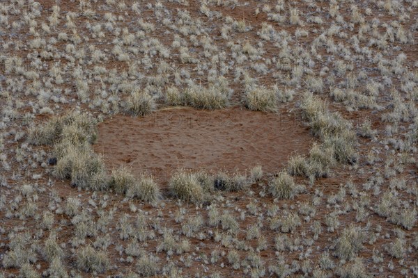 Fairy circle