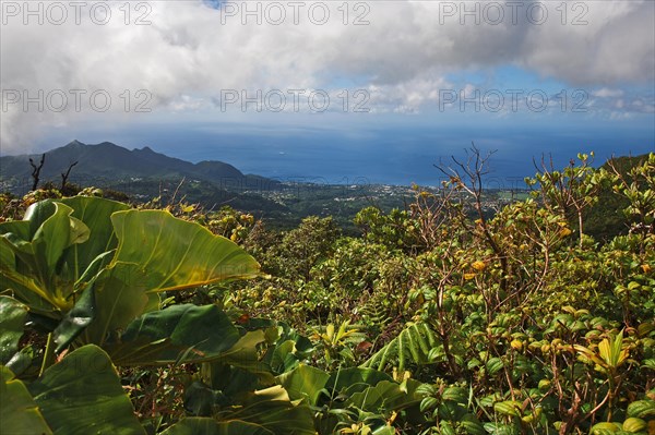 View towards Saint-Claude from La Soufriere volcano