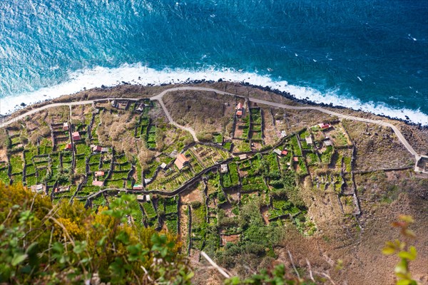 Terraces on the cliff coast of Santa Maria Madalena at the foot of Cabo Girao mountain