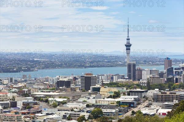 Skyline of Auckland with Skytower and Takapuna at the rear