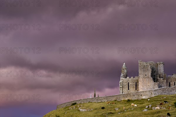 Rock of Cashel