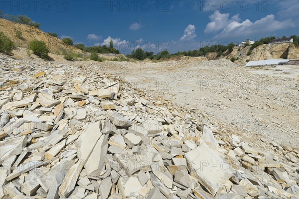 Plattenkalk limestone with inclusions