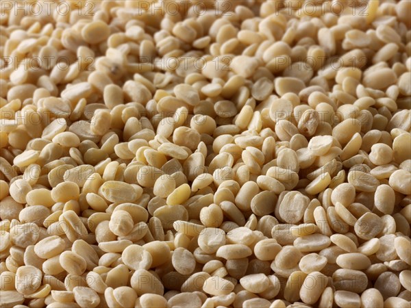 Urad dal beans