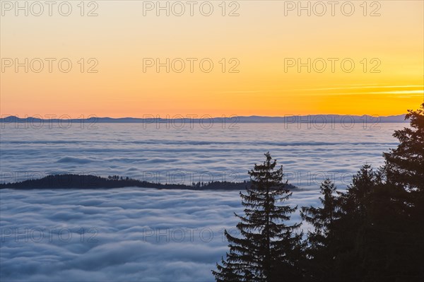 Sea of clouds