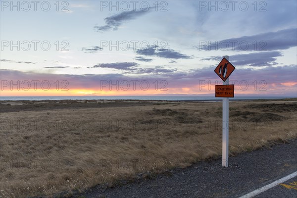 Warning sign 'Caution Penguins' on a coastal road at dusk