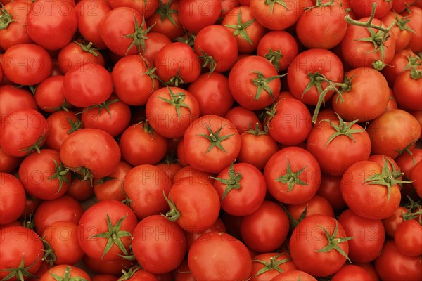 Tomatoes on a market stall