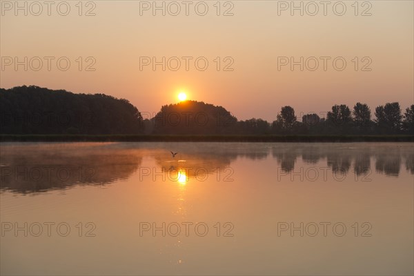 Sunrise over a pond landscape