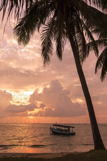 Sunset on the beach