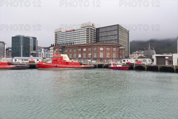 Views of the harbour and on the Parliament of New Zealand