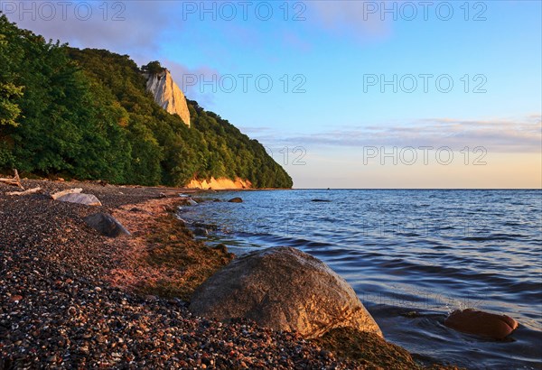 Koenigsstuhl chalk cliff