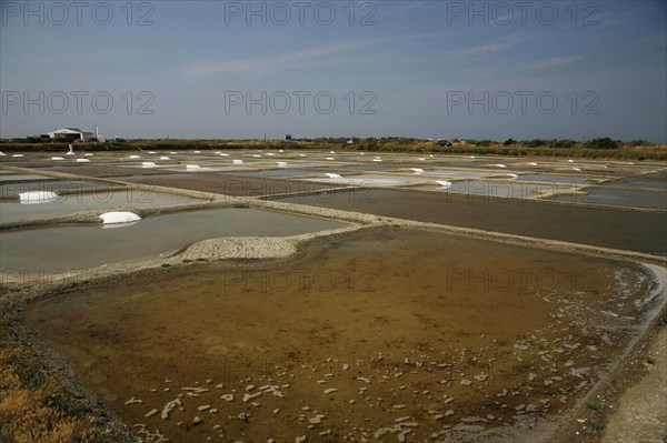 Salt farm