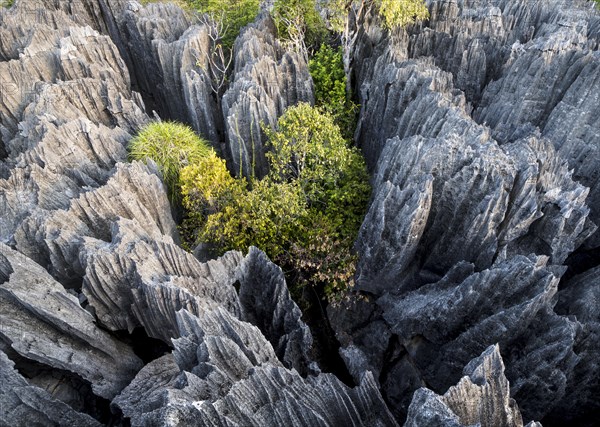 Rugged limestone rocks