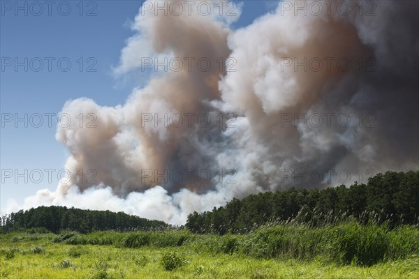 Fire on a grain field near Tutow