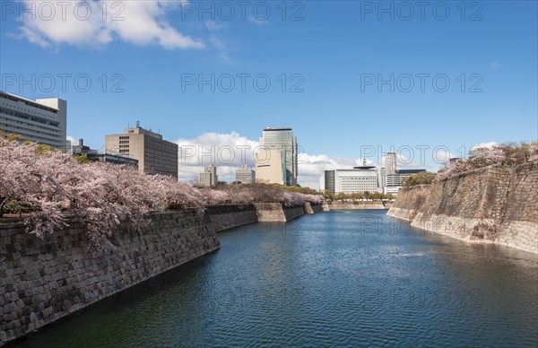 Skyscrapers at the moat of Osaka Castle Park