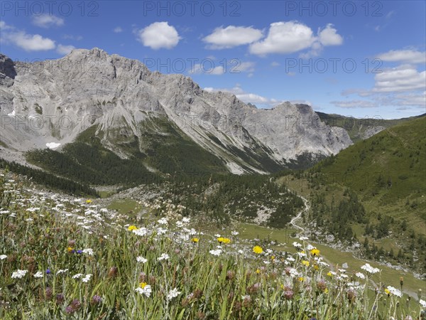 Obere Wolayer Alm mountain pasture with the Biegengebirge Mountains