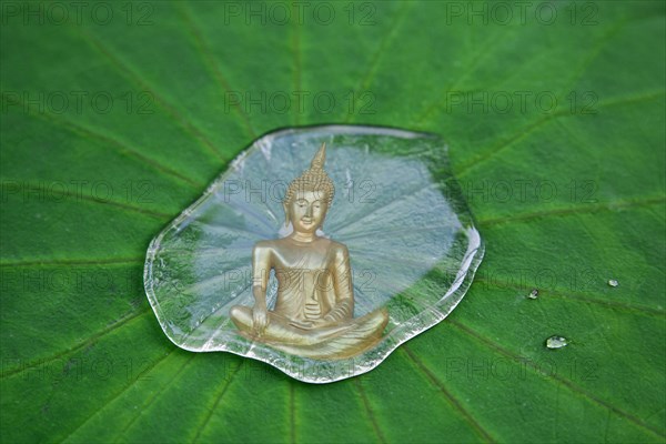 Buddha statue reflected in a drop of water on a lotus leaf