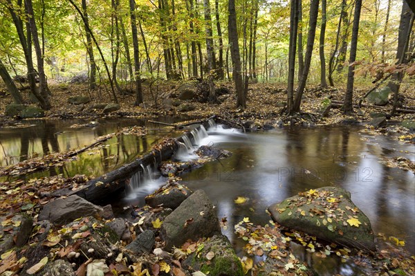 Ilse River in Ilsetal valley in autumn