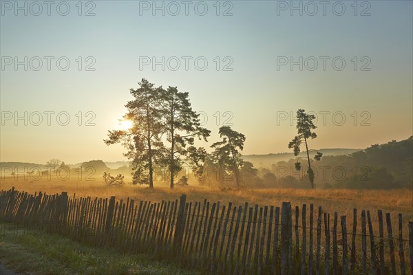 Rural morning mood with a picket fence in the late summer early morning fog