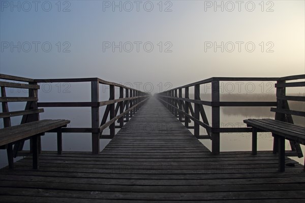 Federsee pier